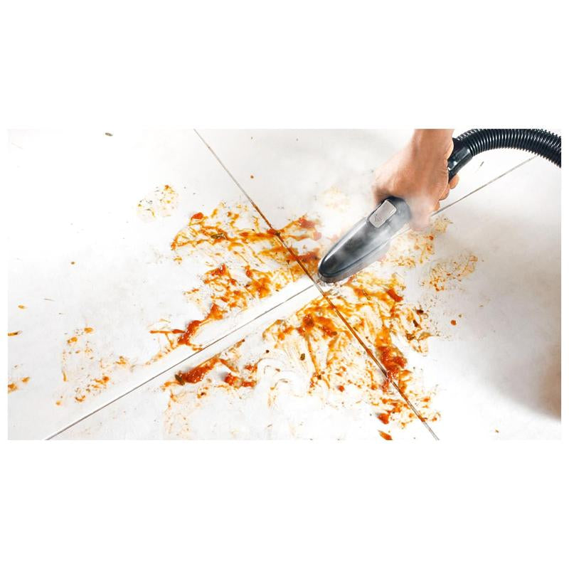 BISSELL Little Green Hydrosteam Pet Portablecarpet Cleaner