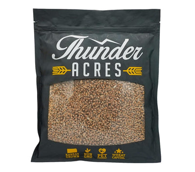 Non-Gmo,  Premium Wheat Seed, Cat Grass Seed, Wheatgrass, Hard Red Winter Wheat (5 Lbs.)