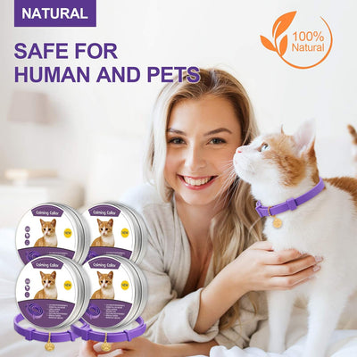 4 Pcs Cat Calming Collar Adjustable Lavender Scent Relaxing Cat Collar with 2 Pendant for Puppies Reduce Stress Aggression Anxious, up to 15 Inches(Purple, Gold)