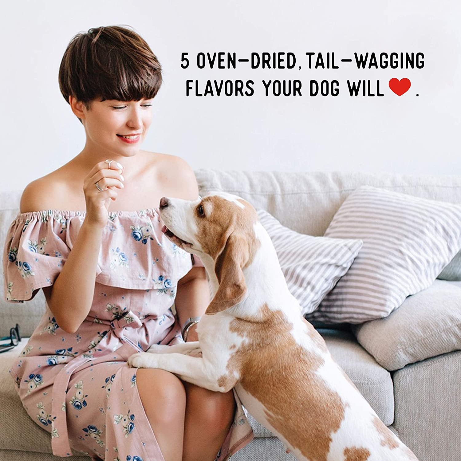 New Filler Free Dogs Love Pork Premium Jerky Treats for Dogs (13.5 Oz.)