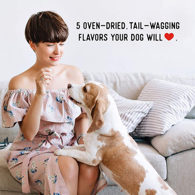 Dogs Love Chicken Jerky Dog Treats, Premium Two-Ingredient Dog Jerky with Usa-Raised Chicken, 3-Pound Bag