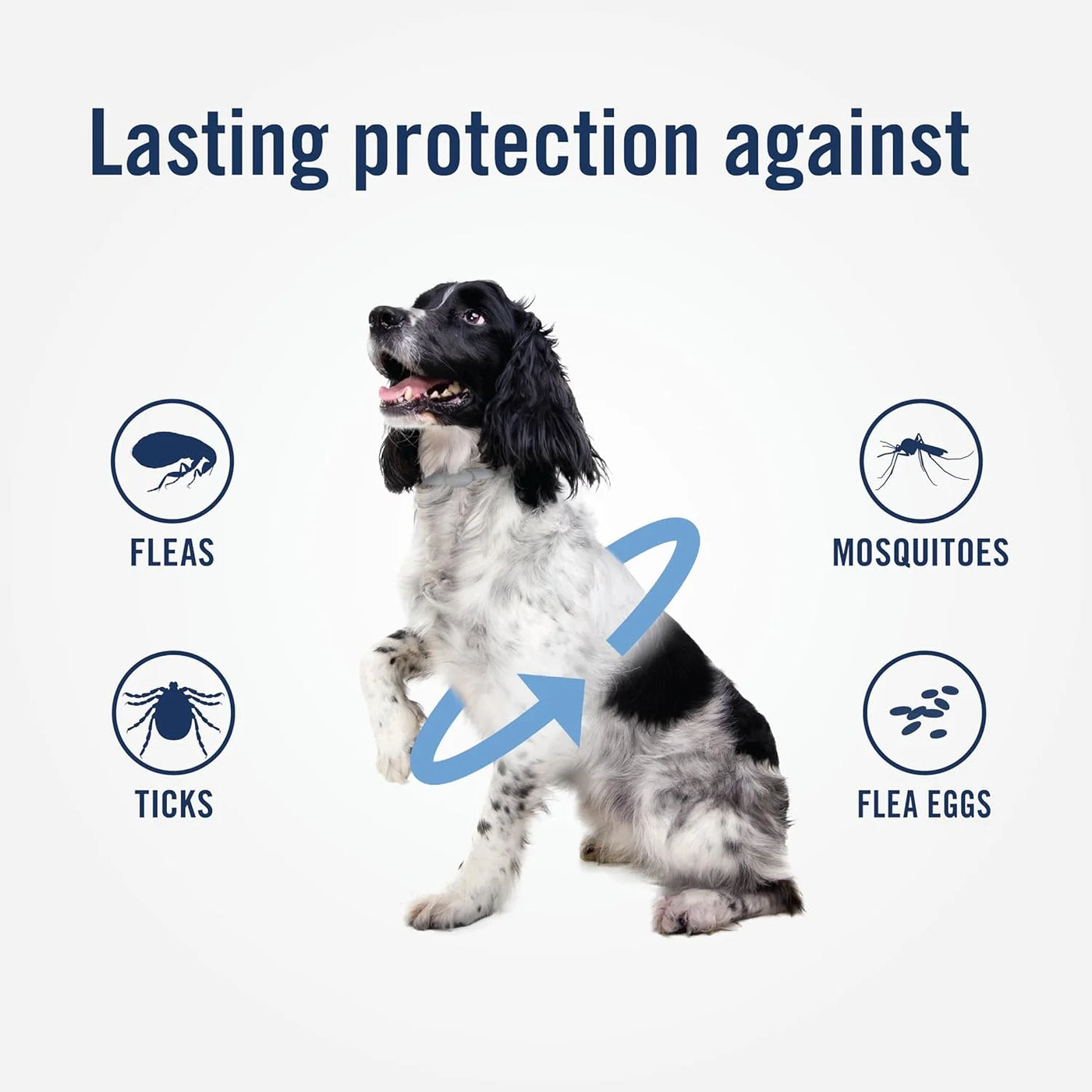 Flea & Tick Collar for Dogs, One-Size-Fits-All Collar, 1 Count