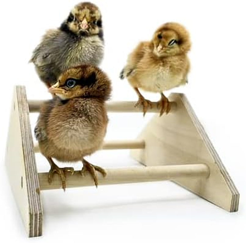 Mini Chick Perch Strong Roosting Bar Made in the USA!!! Jungle Gym Chicken Toys for Coop and Brooder for Baby Chicks El Pollitos La Pollita Pollos Gallinas Polluelos