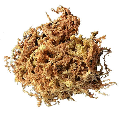 Mosser Lee Mosser Lee ML0110 Organic Sphagnum Moss, 432 Cubic Inch