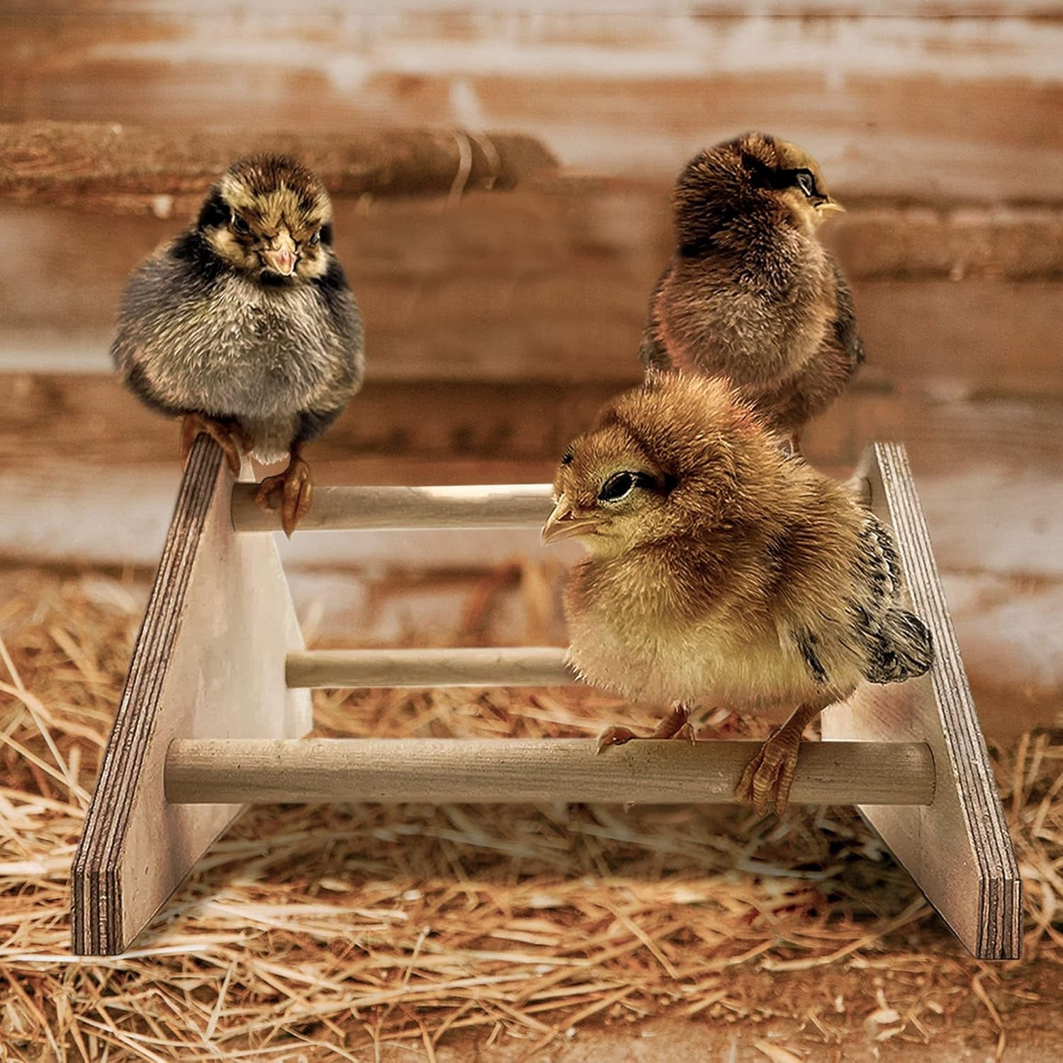 Mini Chick Perch Strong Roosting Bar Made in the USA!!! Jungle Gym Chicken Toys for Coop and Brooder for Baby Chicks El Pollitos La Pollita Pollos Gallinas Polluelos