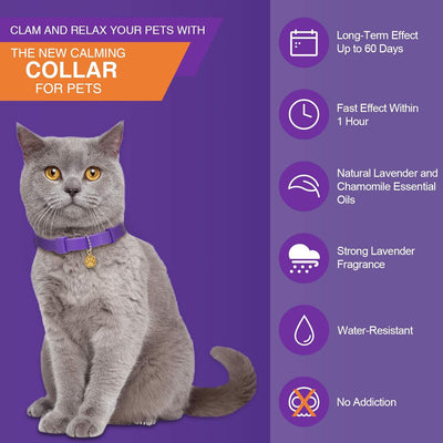 4 Pcs Cat Calming Collar Adjustable Lavender Scent Relaxing Cat Collar with 2 Pendant for Puppies Reduce Stress Aggression Anxious, up to 15 Inches(Purple, Gold)