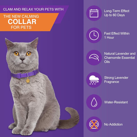 4 Pcs Cat Calming Collar Adjustable Lavender Scent Relaxing Cat Collar with 2 Pendant for Puppies Reduce Stress Aggression Anxious, up to 15 Inches(Purple, Gold)