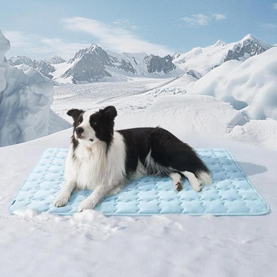 Bedsure Cooling Mat – Washable Cooling Pet Pad for Cat, Portable Kennel Puppy Bed for Summer, Non-Slip Summer Crate Pad for Dog