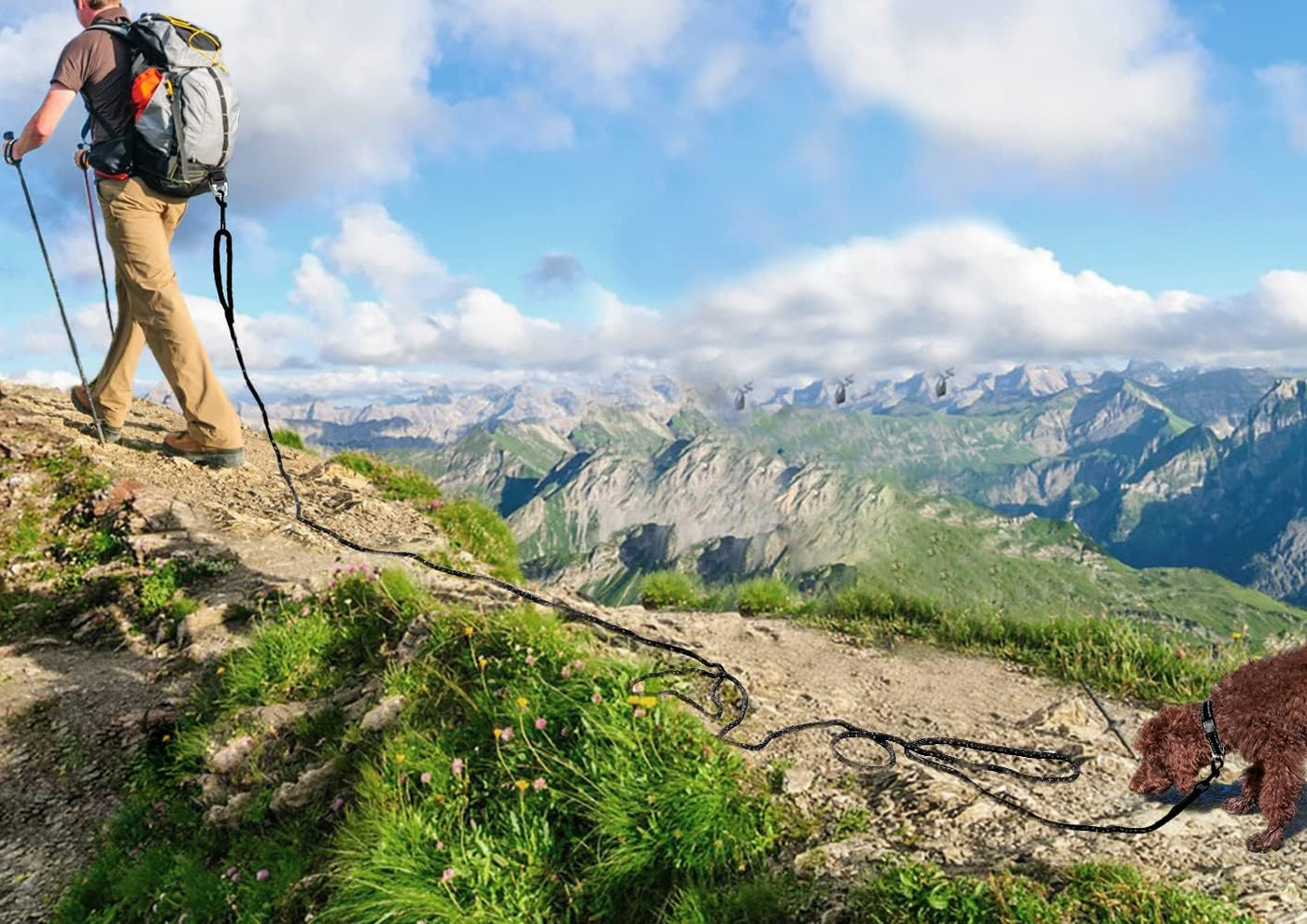 Long Dog Training Leash, 30 FT Tie Out Rope Check Cord Dogs Leashes with Padded Handle, Reflective Recall Lead for Puppy and Small Dogs, Black