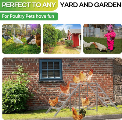 Chicken Perch with Swing Set, Ladder, Roosting Bars, Coop Accessories