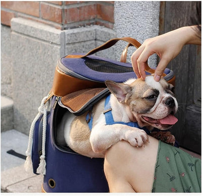 Pet Carry Bag Portable Travel Pet Backpack Pet Shoulder Bag Cat Dog Cage Breathable Tourist Walk Pet Supplies Pet Supplies (Color : Blue)