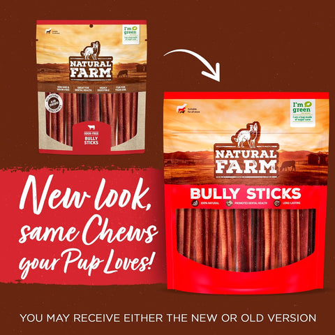 Bully Sticks, Odor-Free, (6 Inch, 12 Ounces), Packaged by Weight, 100% Beef Pizzle Chews, Grass-Fed, Fully Digestible Treats to Keep Your Puppies, Small and Medium Dogs Busy