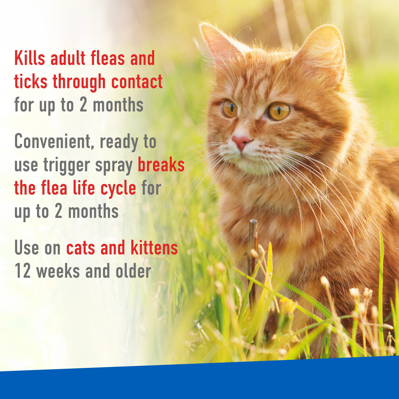 (2 Pack)  Flea and Tick Spray for Cats, 16 Ounces