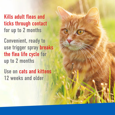 (2 Pack)  Flea and Tick Spray for Cats, 16 Ounces