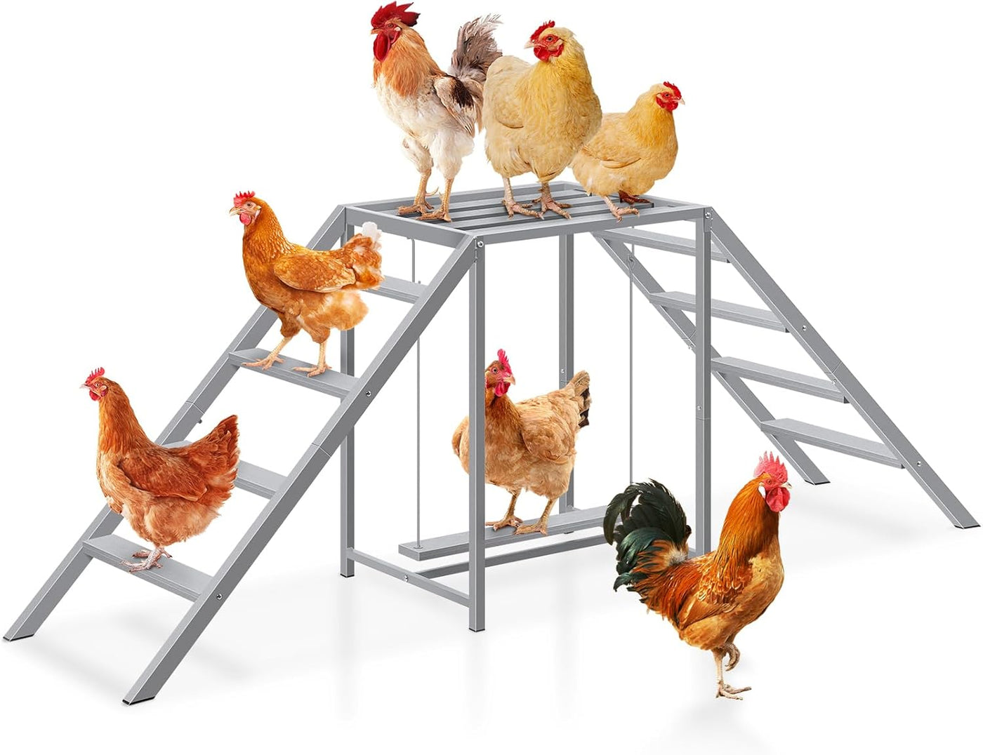 Chicken Perch with Swing Set, Ladder, Roosting Bars, Coop Accessories