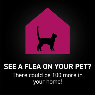 Flea & Tick Topical Prevention for Cats over 3.5 Lbs, 1-Month Supply