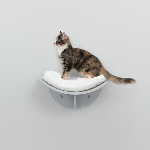 Lorena Wall Mount Perch, Cat Shelf, Cat Bed, Cat Lounger, Cat Furniture, Gray