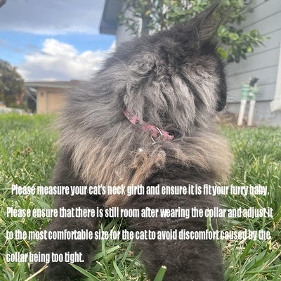 Breakaway Cat Collar with Bell Charm, 2 Packs Adjustable Kitty Collars Pink & Black Skull Pattern, 7.8-11.8 In