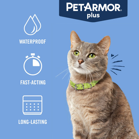 plus for Cats over 1.5 Lbs, Flea & Tick Prevention for Cats, 6-Month Supply