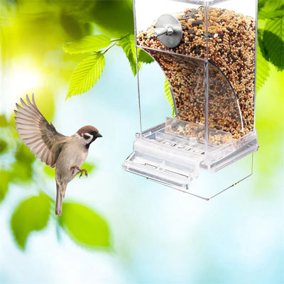 Automatic No-Mess Bird Feeder