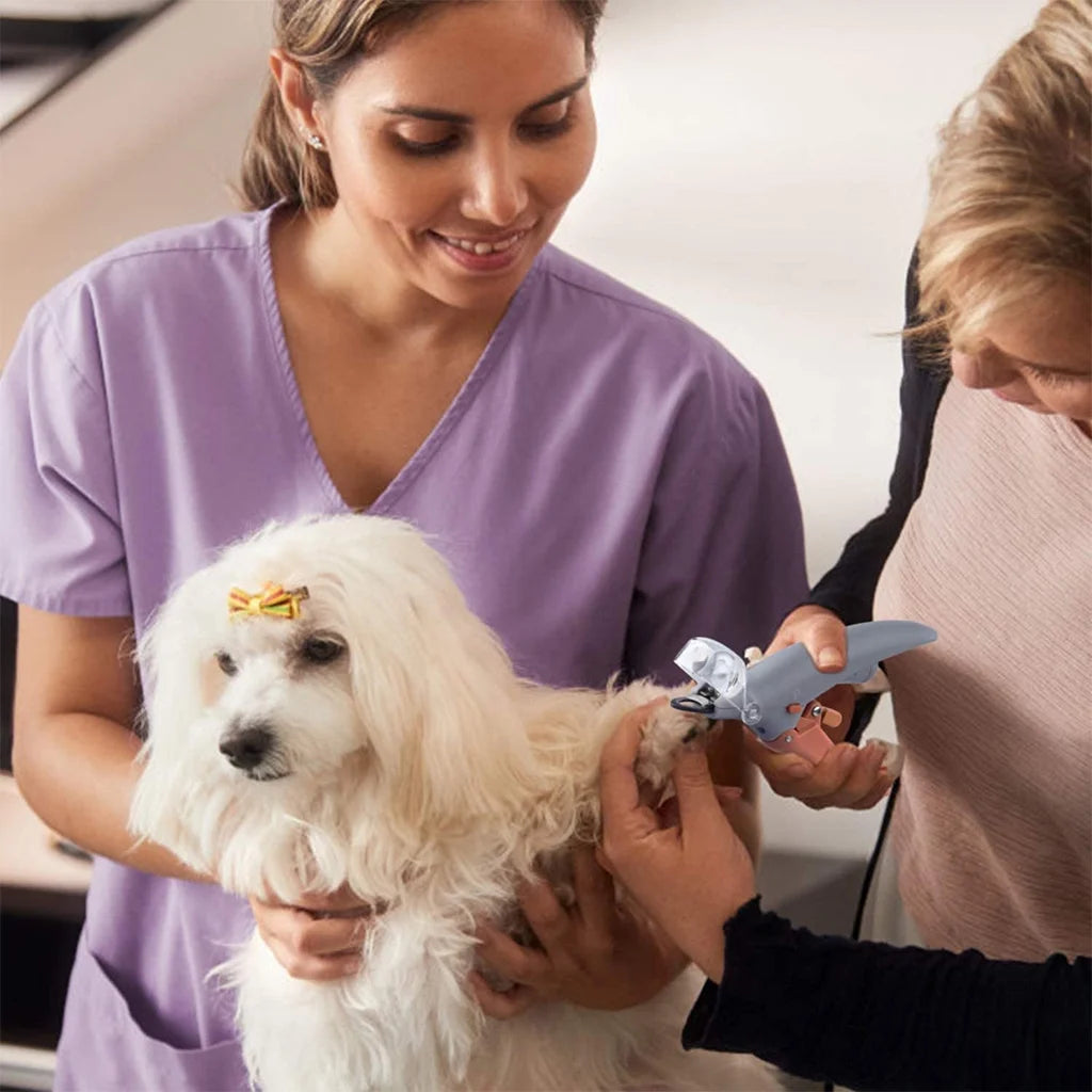 LED Light Pet Nail Clipper Sharp Blades for Large Small Dog Cat Nail Trimmers