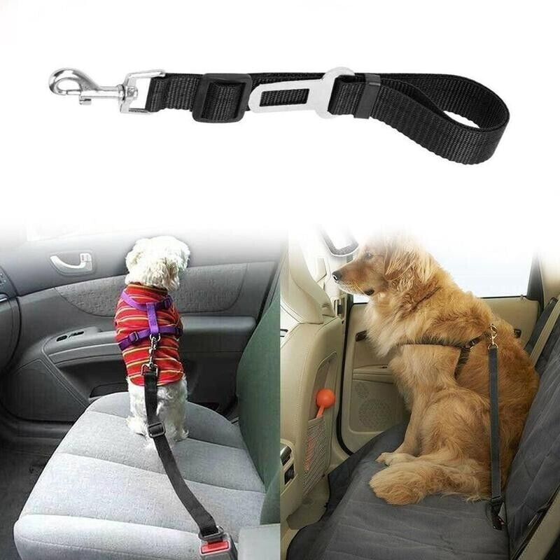 2 Pack  Safety Adjustable Harness Lead Seatbelt