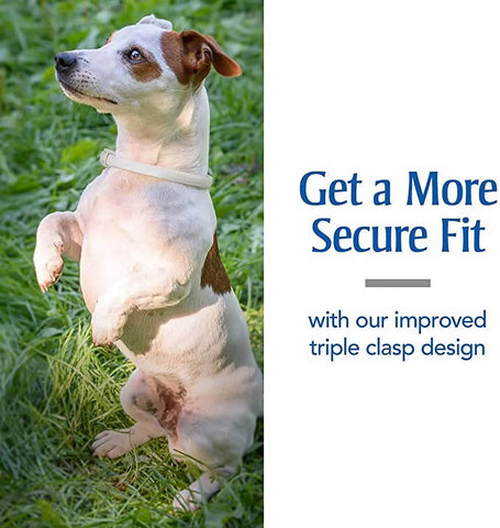 Flea & Tick Collar for Dogs, One-Size-Fits-All Collar, 1 Count