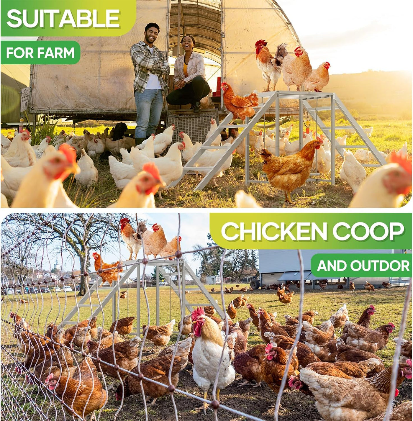 Chicken Perch with Swing Set, Ladder, Roosting Bars, Coop Accessories