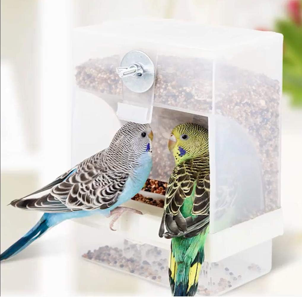Parrot Automatic Feeder,No-Mess Bird Feeder,Cage Accessories for Budgerigar Canary Cockatiel Finch Parakeet Seed Food Container by  (Screw-Fixed Bird Feeders)