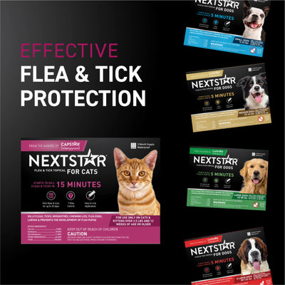 Flea & Tick Topical Prevention for Cats over 3.5 Lbs, 1-Month Supply