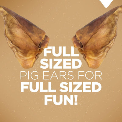 Pig Ears for Dogs (25 Pack), All-Natural Wholethick Pigs Ears, Single Ingredient & Highly Digestible, Better than Rawhide- Dog Snacks, Dog Pig Ears for Puppy, Medium & Large Dogs