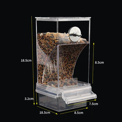 Automatic No-Mess Bird Feeder