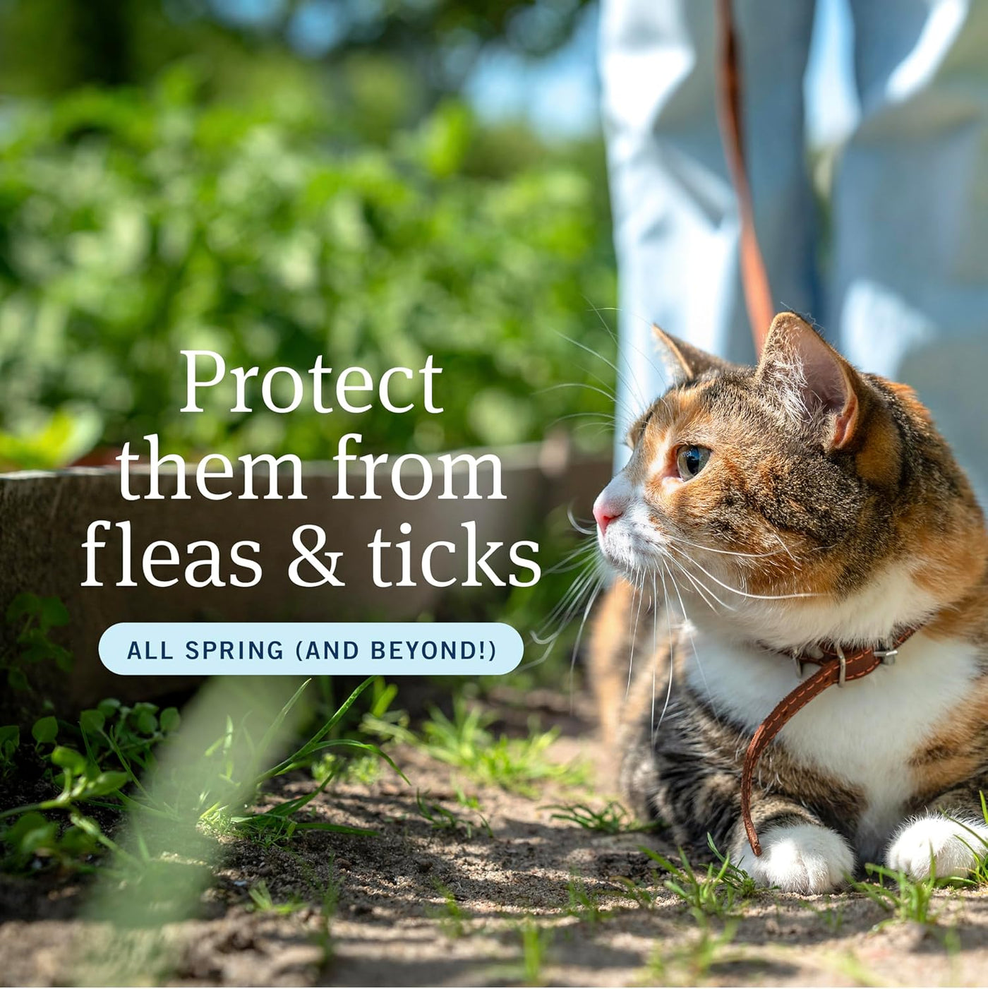 plus Flea and Tick Prevention for Cats, Cat Flea and Tick Treatment, 3 Doses, Waterproof Topical, Fast Acting, Cats over 1.5 Lbs