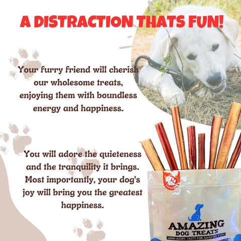 - 6 Inch Medium Size Bully Sticks (25 Count) - Bulk Bully Sticks for Dogs - No Hide Bully Stick Dog Bones