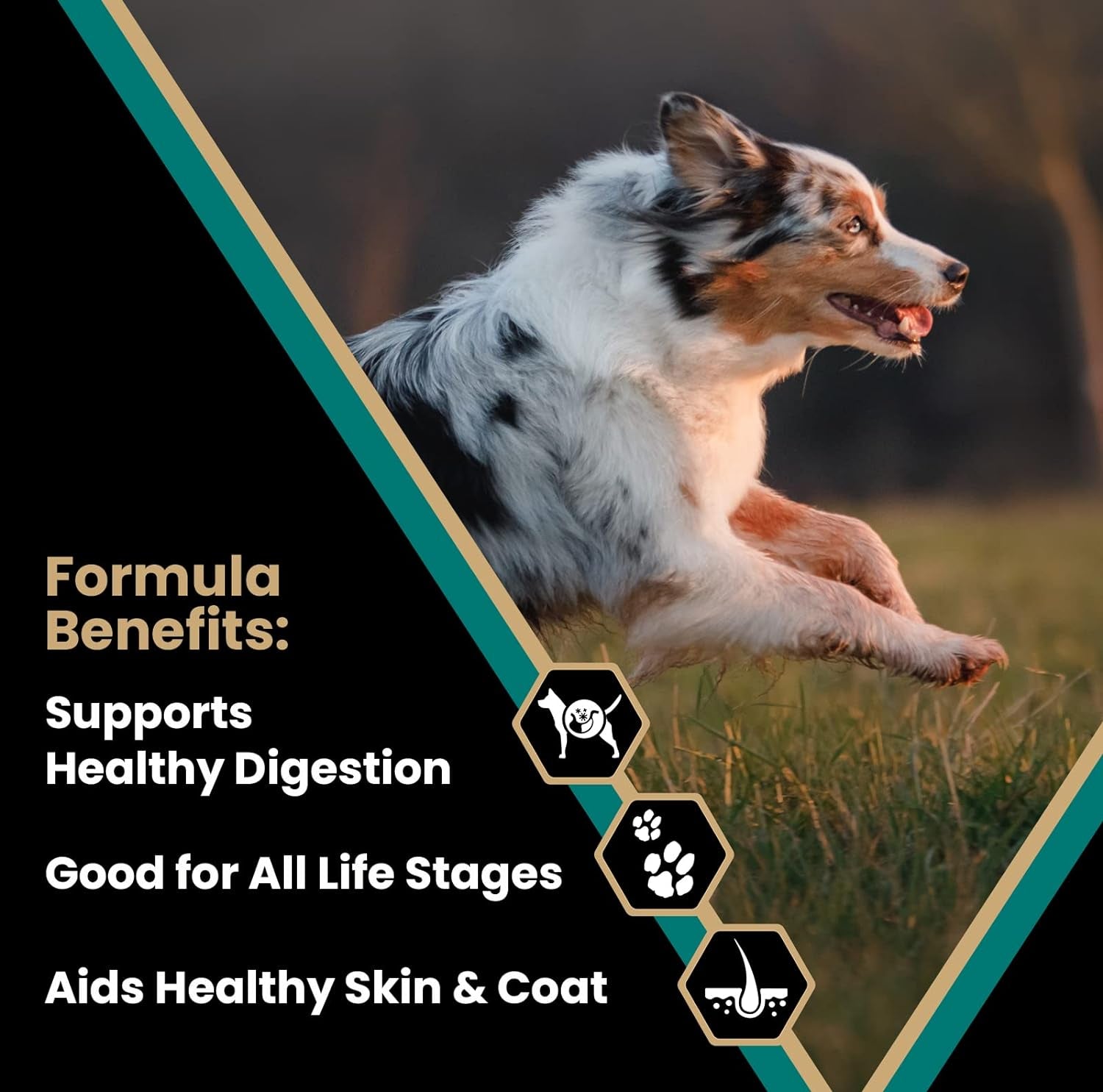 Super Premium Dog Food – Select - Ocean Fish Formula – Gluten Free Dry Dog Food for All Normally Active Dogs of All Life Stages, 5Lbs