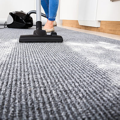 Flea Killer for Carpets Powder, 20 Oz