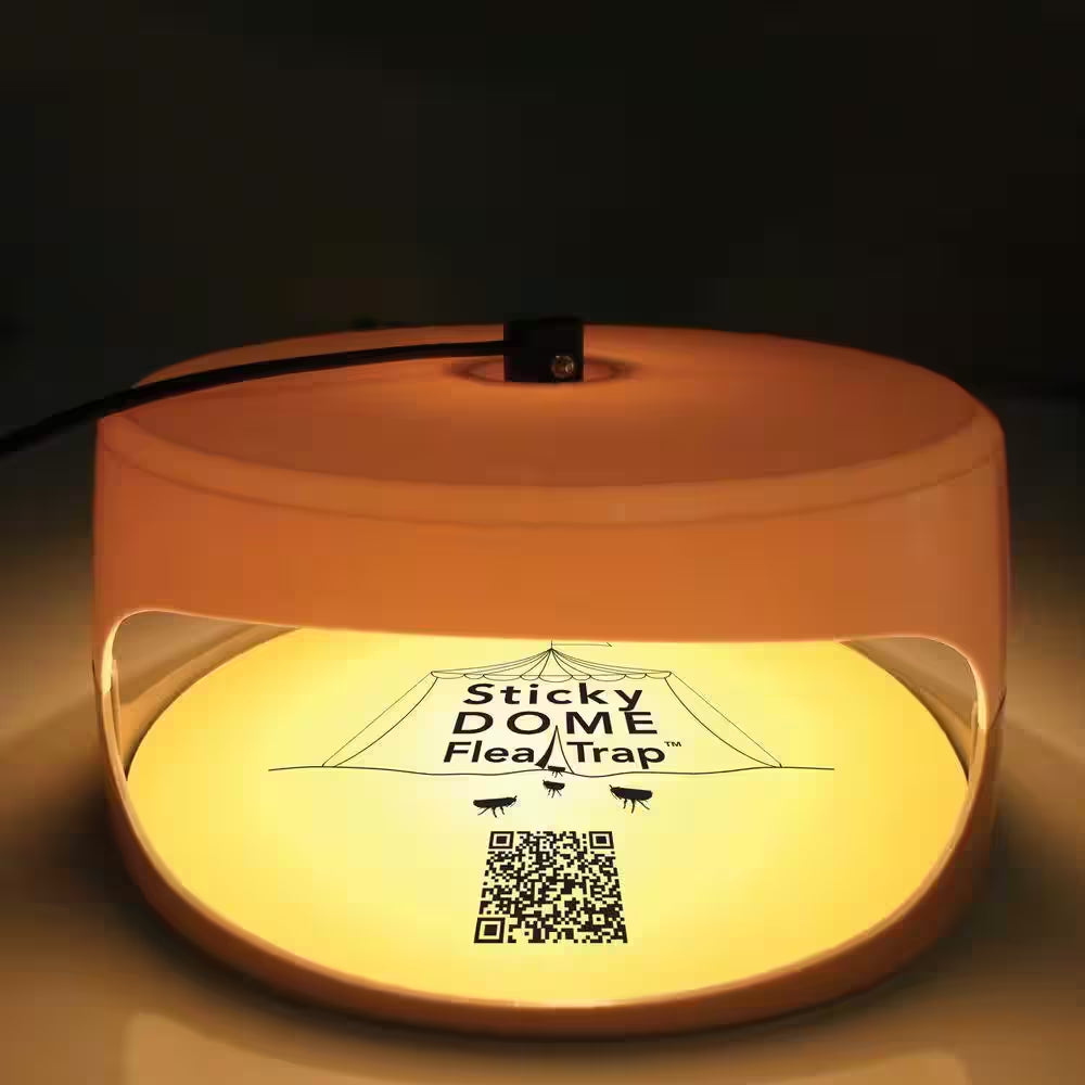 Sticky Dome Flea Trap