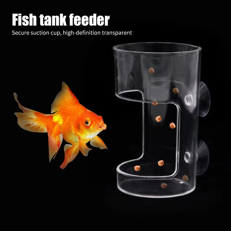 Fish Feeders Aquarium Feeding Ring Floating Food Tray Feeder with Suction Cups Transparent Fish Aquatic Pet Supplies