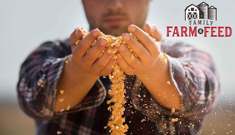 | Four Seasons | Cracked Corn | Wild Bird Food | Backyard Songbird | 4 Pounds