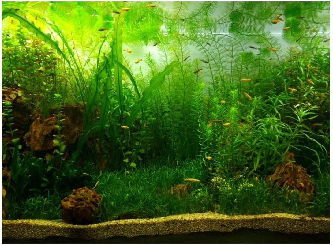 Aquarium Background Fish Decorations Pictures PVC Adhesive Poster Water Grass Backdrop Decoration Paper Cling Decals Sticker(61 * 30Cm)