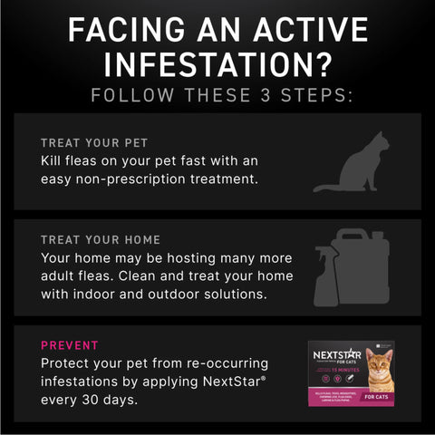 Flea & Tick Topical Prevention for Cats over 3.5 Lbs, 1-Month Supply