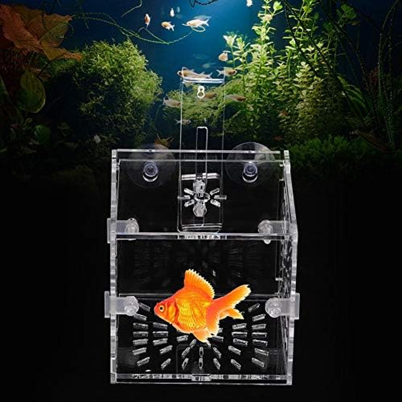 Fish Separation Breeder Box, Acrylic Transparent Fish Breeding Isolation Box Aquarium Hatchery Incubator Holder(A-10X10X10Cm)
