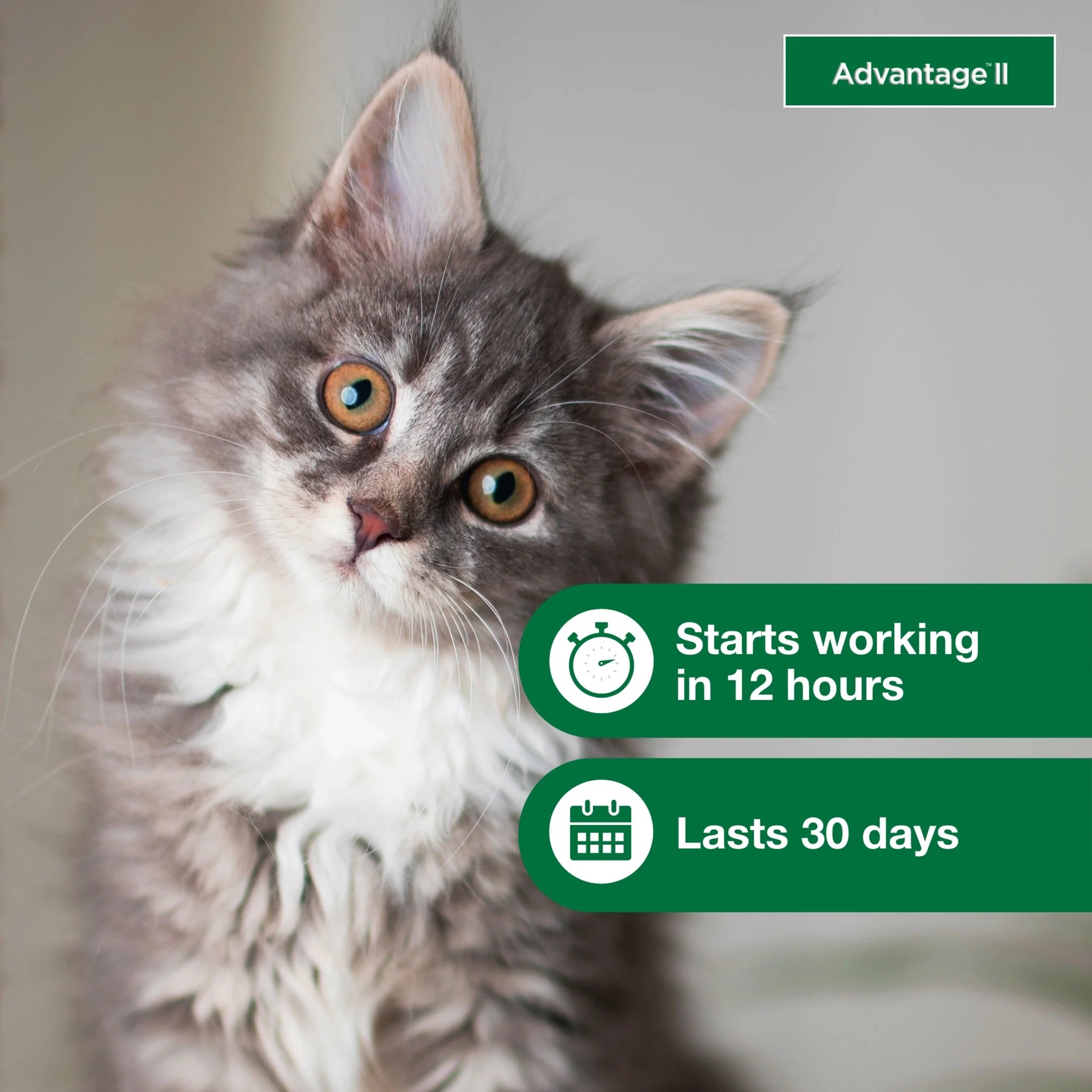 Vet-Recommended Flea Prevention for Kittens & Cats 2-5 Lbs, 2-Monthly Treatments