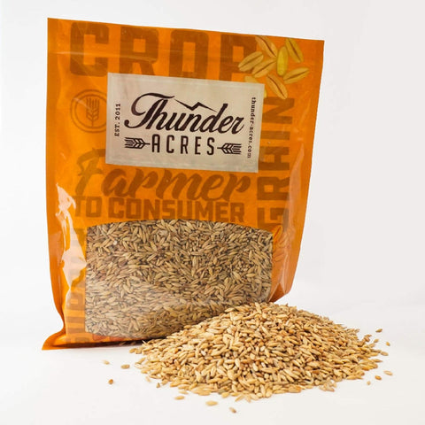 Cat Grass Blend - Wheat, Barley, Oats, and Rye Seed Mix - Non-Gmo - Certified Organic - Bonus CAT Toy (8 Oz)