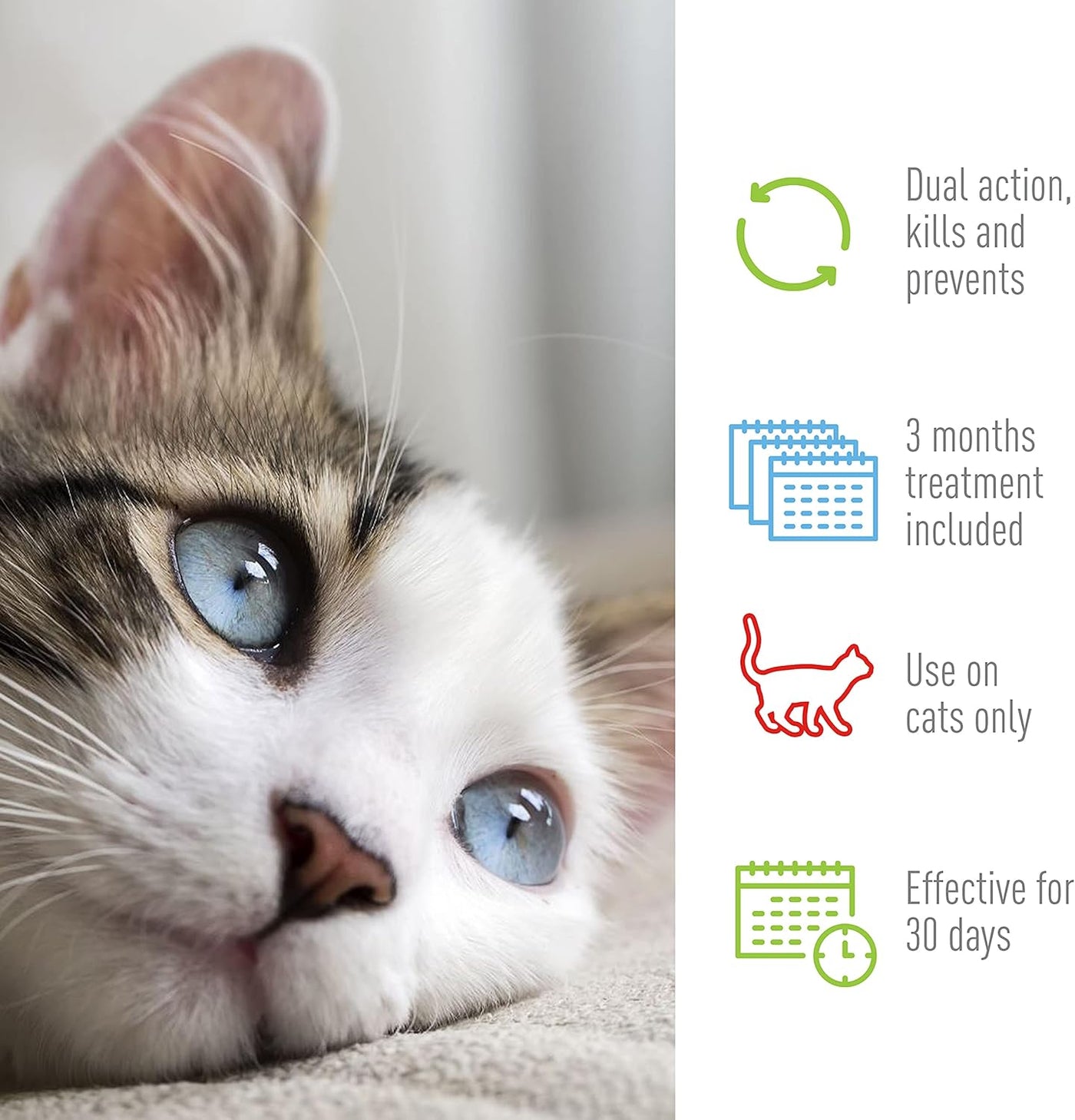 Plus Flea & Tick Spot on for Cats 5 Lbs and Over