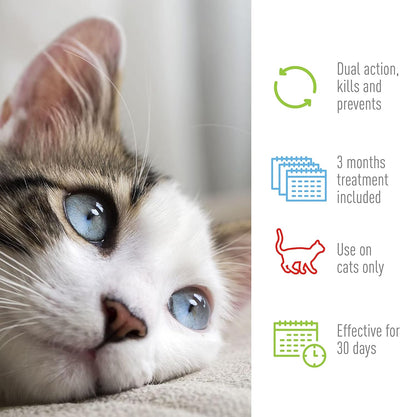 Plus Flea & Tick Spot on for Cats 5 Lbs and Over