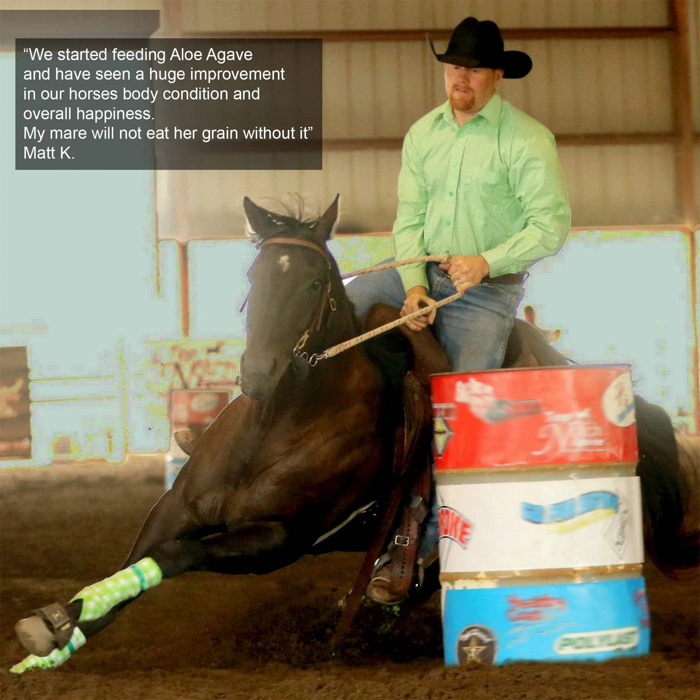 Aloe-Agave Supplement for Horses and Other Large Animals by Doc Hoag'S