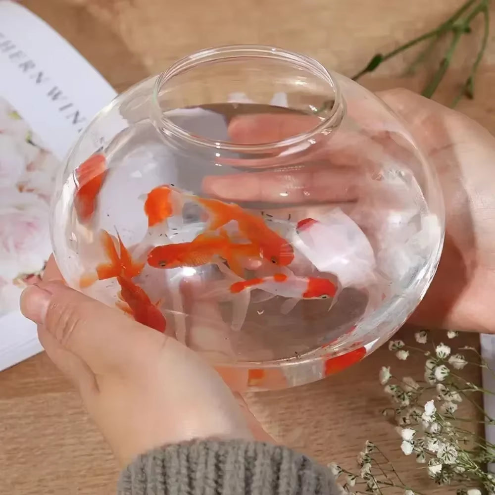 Fish Bowl Small Aquariums for Small Ornamental Fish and Reptiles High Transparency Glass Good View Aquarium Tank Fish Tank