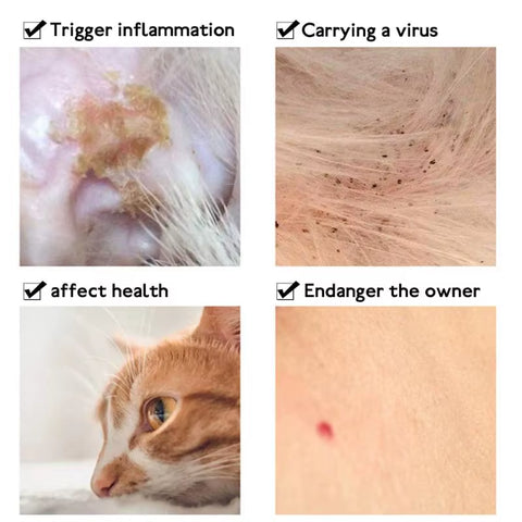 Pet Flea Collar Cat Dog Mosquito Repellent Insect Collar Pet in Vitro Deworming S/M Size Flea Collar