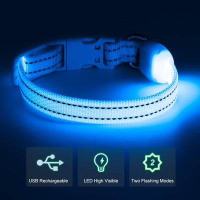 Light up Dog Collars Rechargeable Puppy Collar Lighted Cat Collar Glow in the Dark Dog Lights for Small Dogs & Cats (X-Small, Blue)